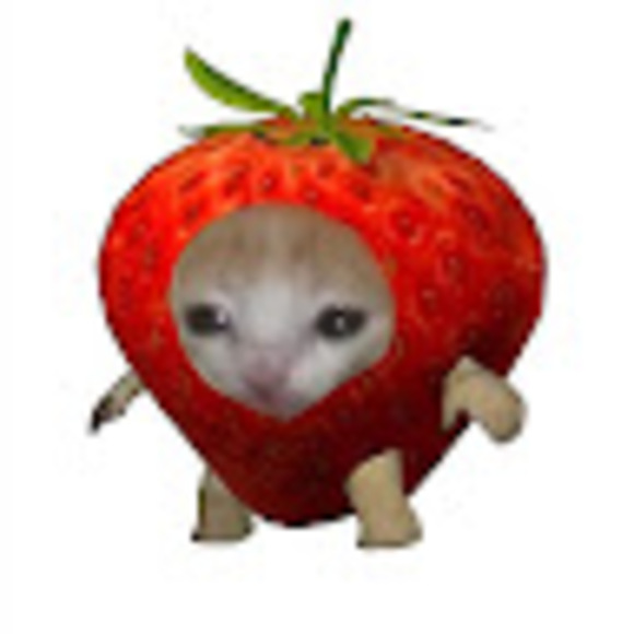 alienkittenz